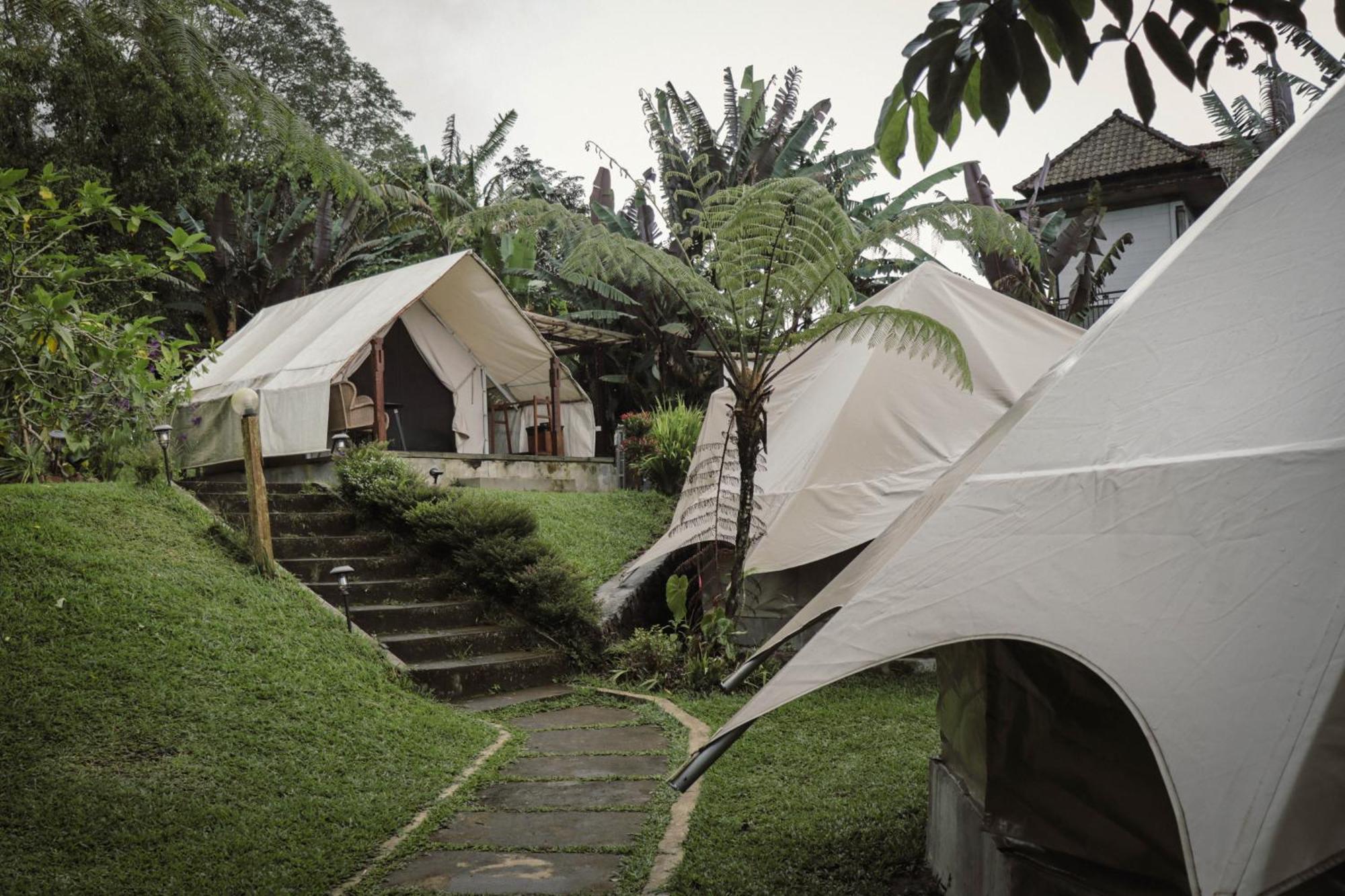 Alamu Eco Lodge Bedugul  Exteriör bild