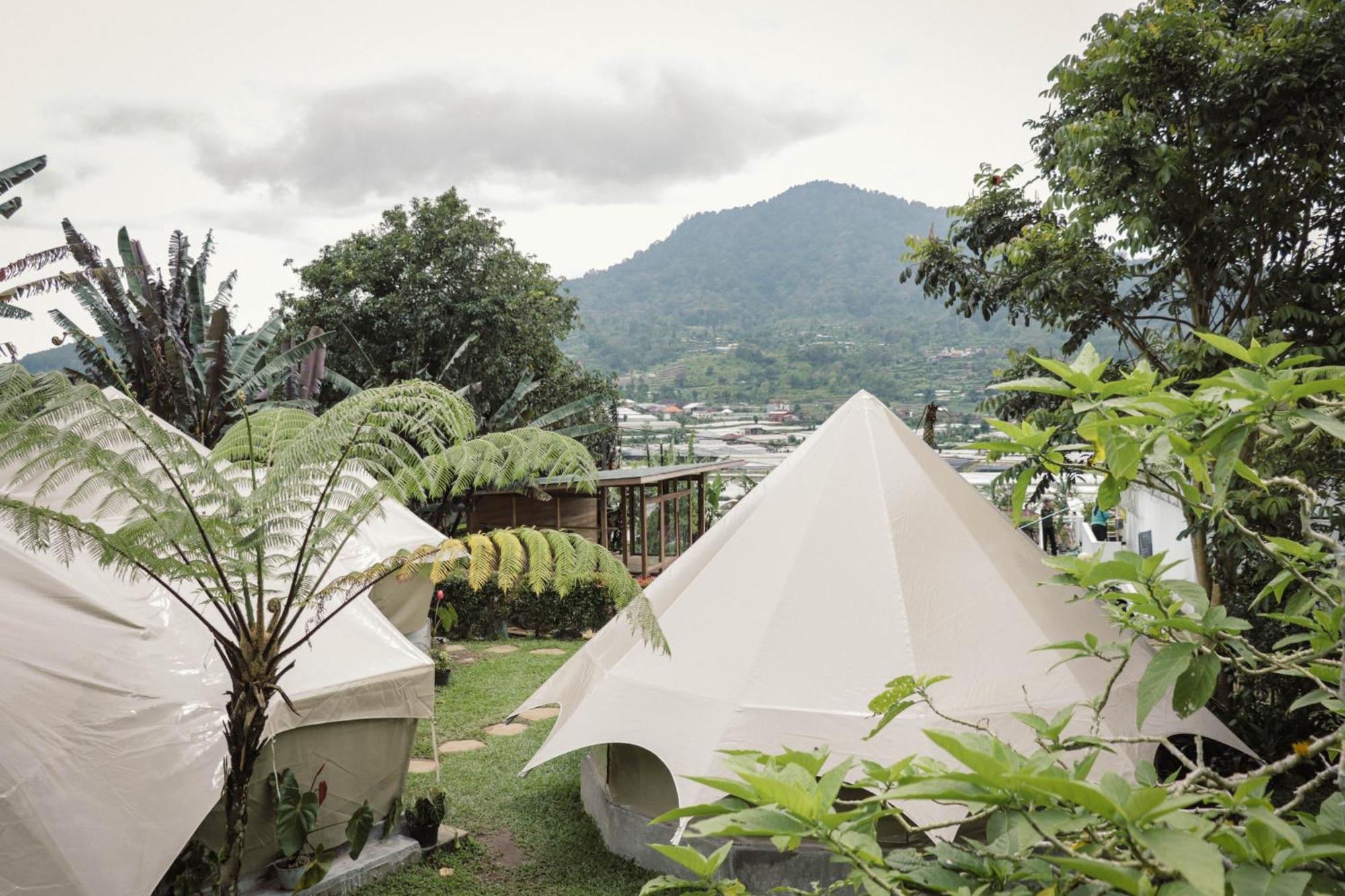 Alamu Eco Lodge Bedugul  Exteriör bild