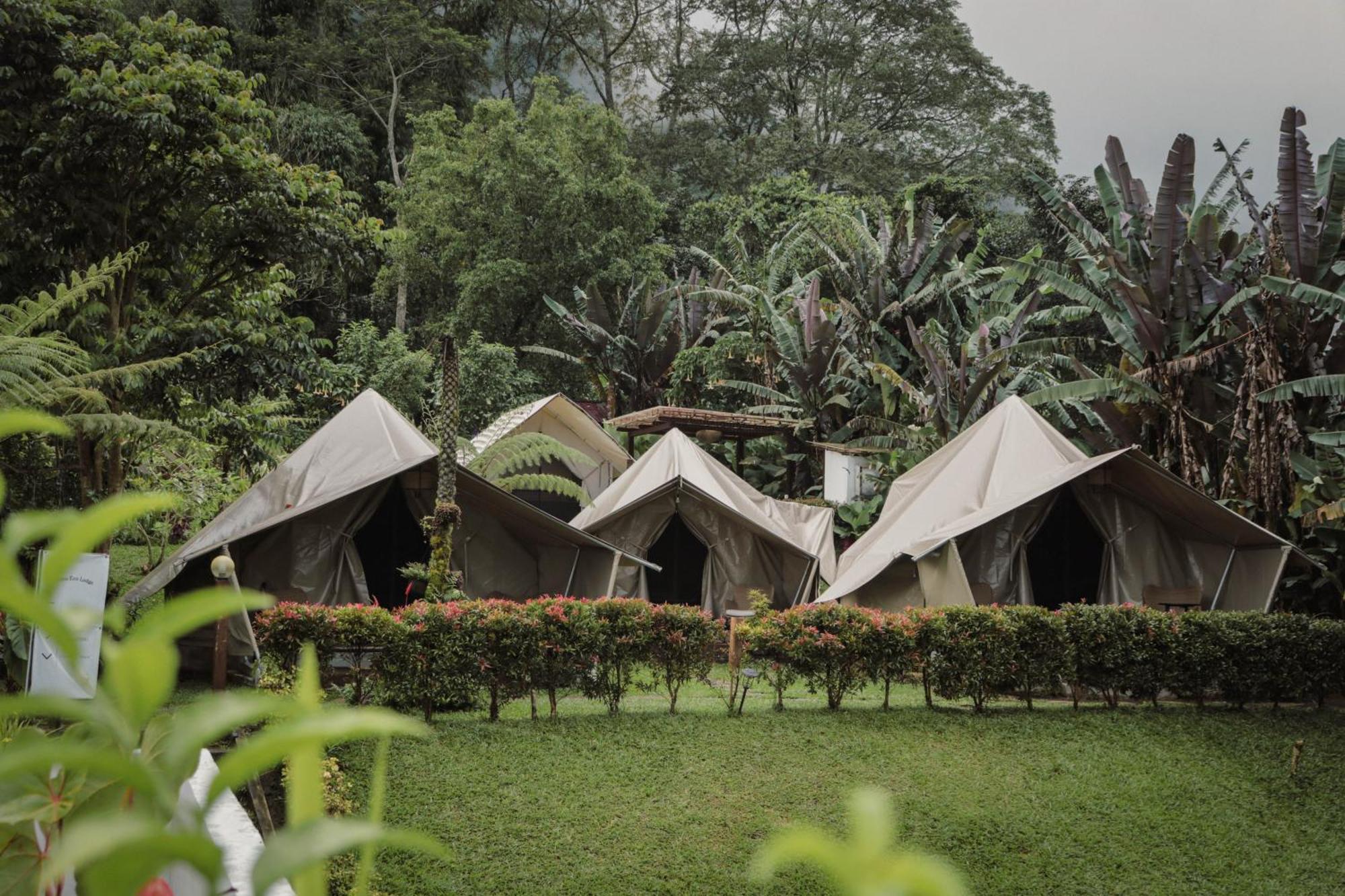 Alamu Eco Lodge Bedugul  Exteriör bild