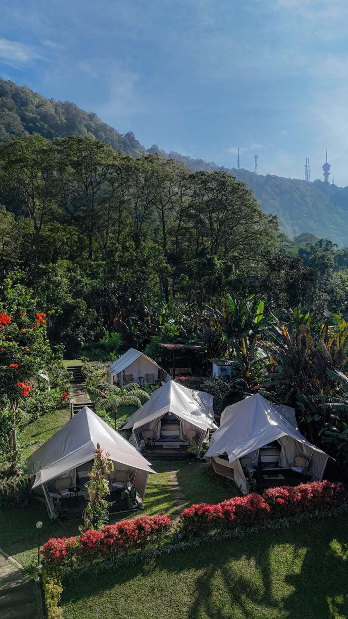 Alamu Eco Lodge Bedugul  Exteriör bild