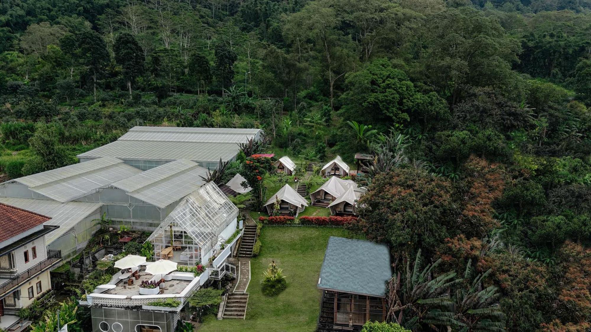 Alamu Eco Lodge Bedugul  Exteriör bild