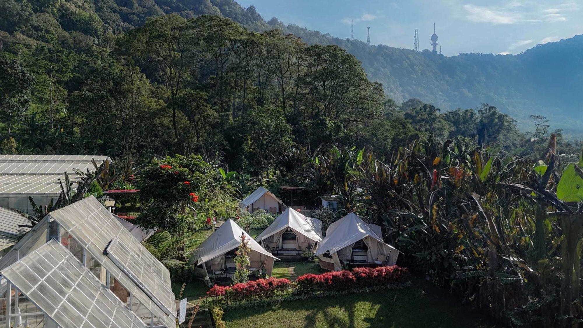 Alamu Eco Lodge Bedugul  Exteriör bild