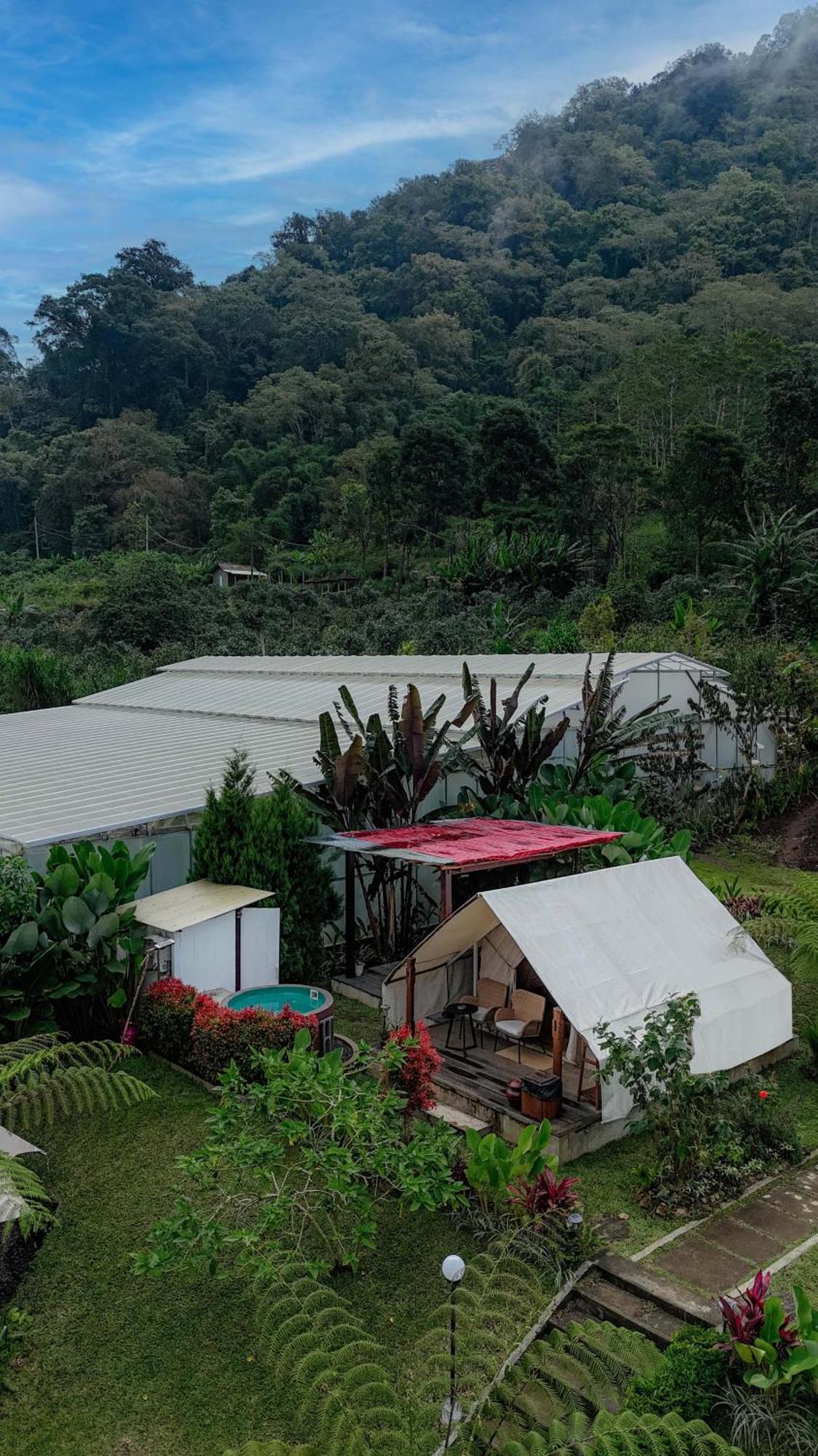 Alamu Eco Lodge Bedugul  Exteriör bild