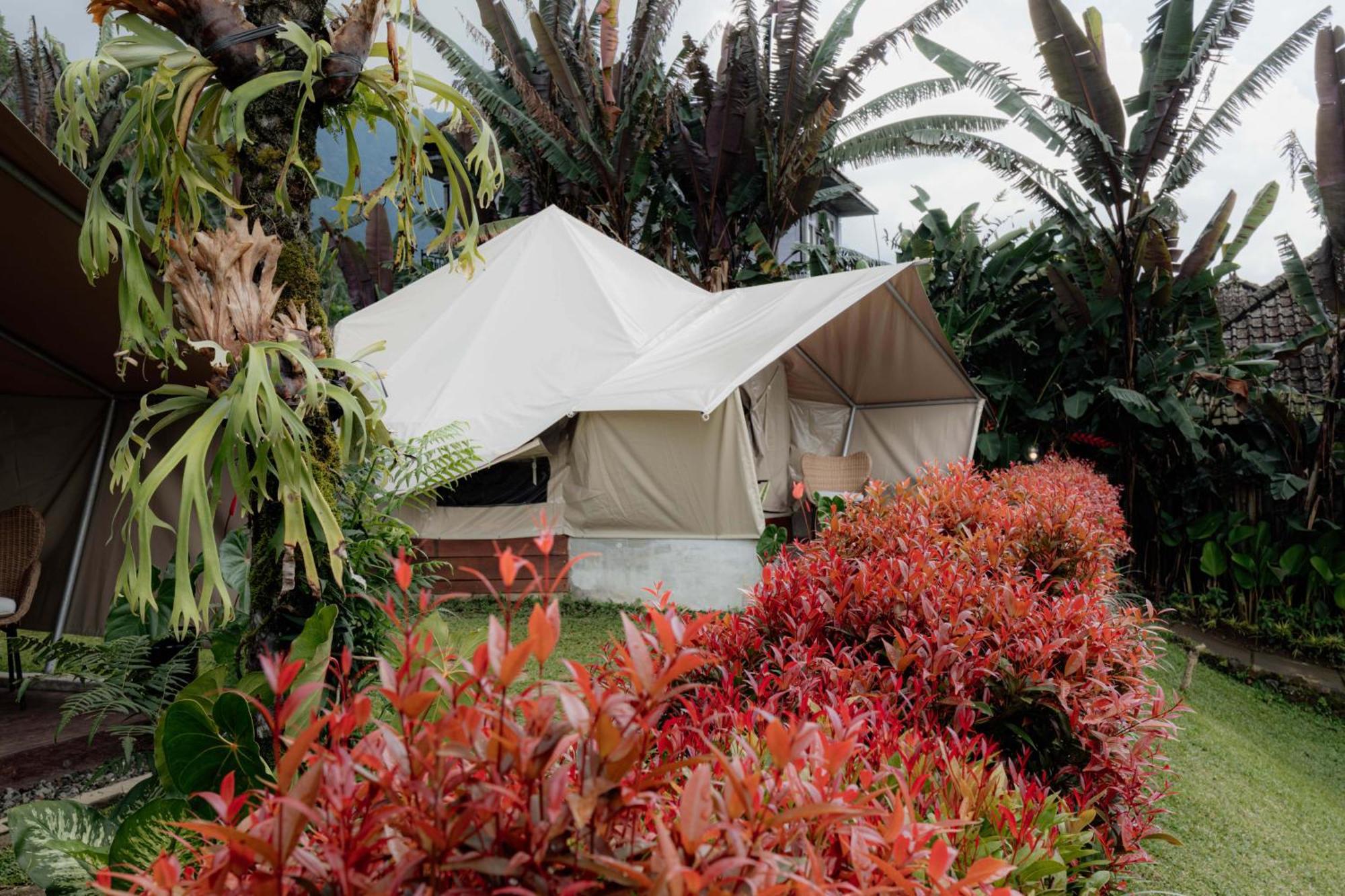 Alamu Eco Lodge Bedugul  Exteriör bild