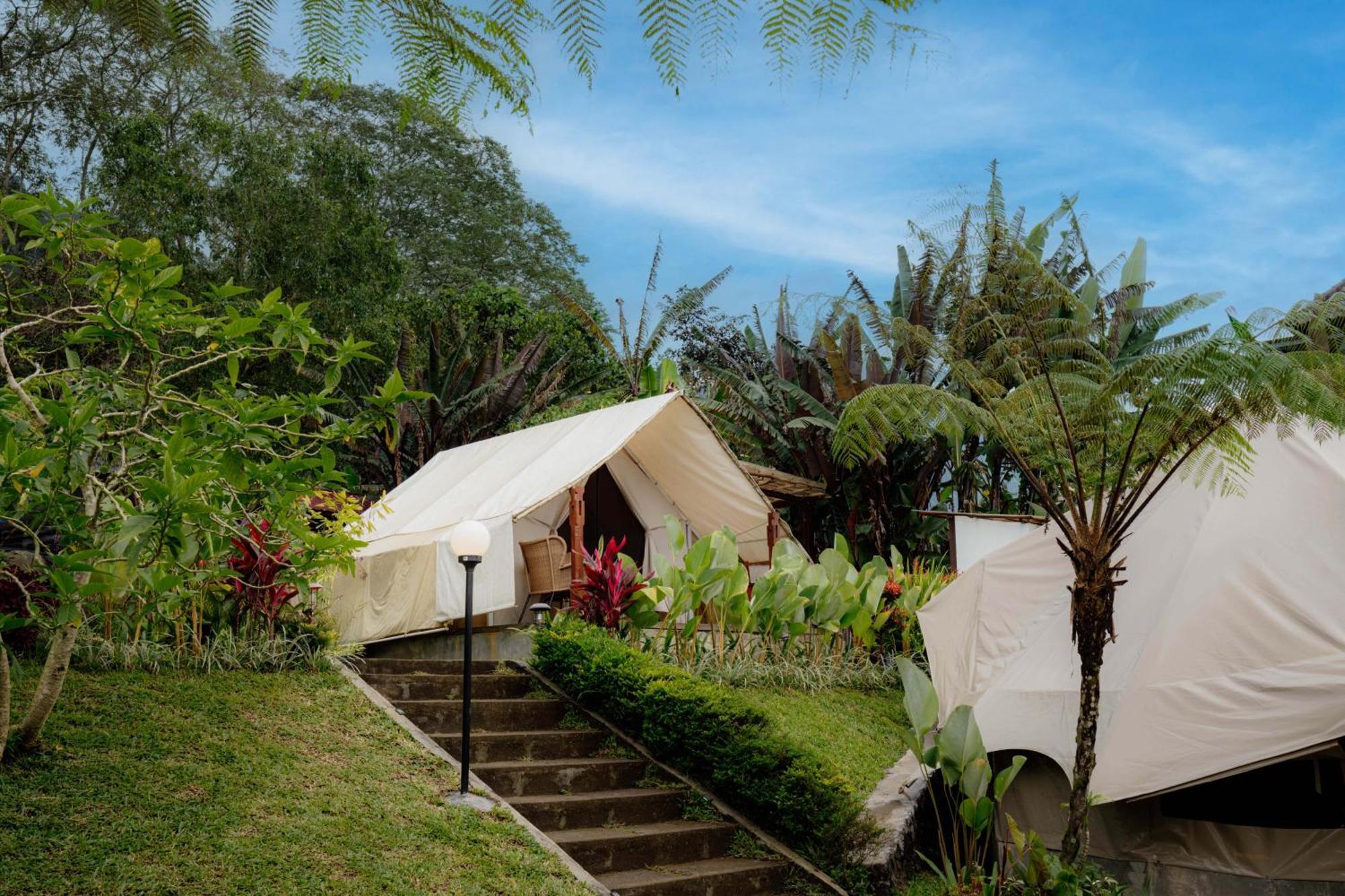Alamu Eco Lodge Bedugul  Exteriör bild